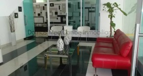 ID-359 Vendo Maravilla, Lujoso Y Espacioso Penthouse Centrico!!! -La Esperilla-